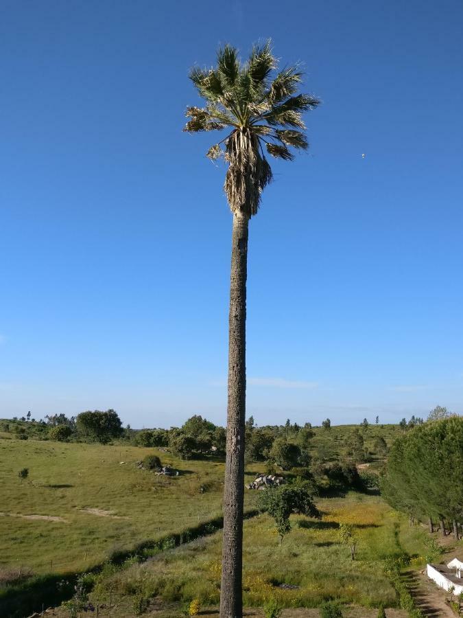 Quinta Da Abrunheira - Gustavo Eiffel Guest House Ciborro Екстериор снимка