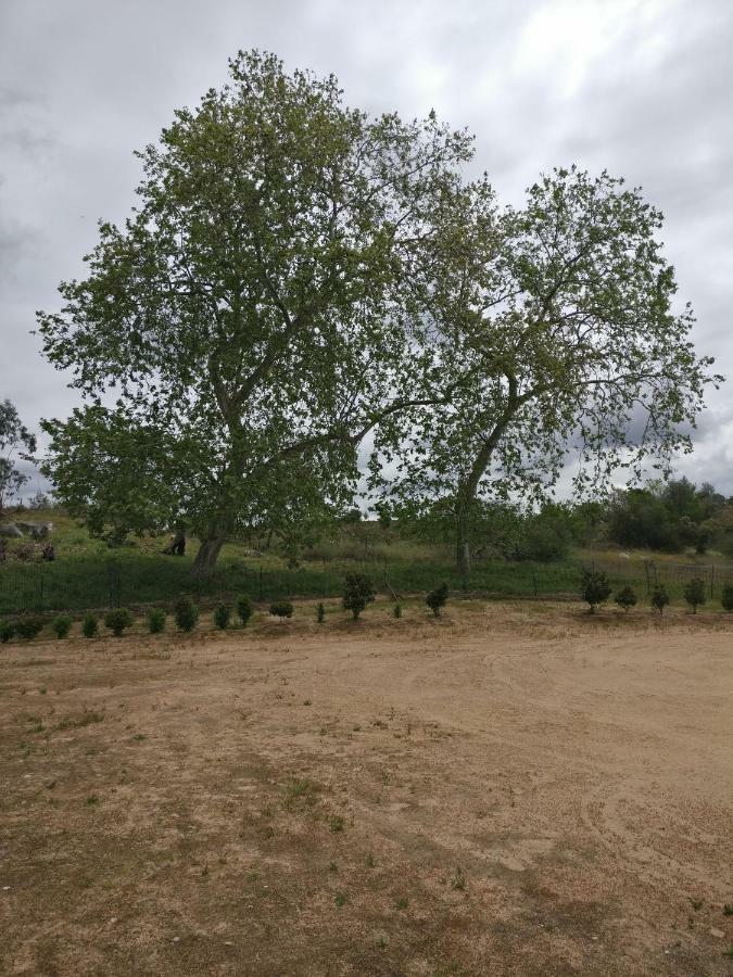 Quinta Da Abrunheira - Gustavo Eiffel Guest House Ciborro Екстериор снимка