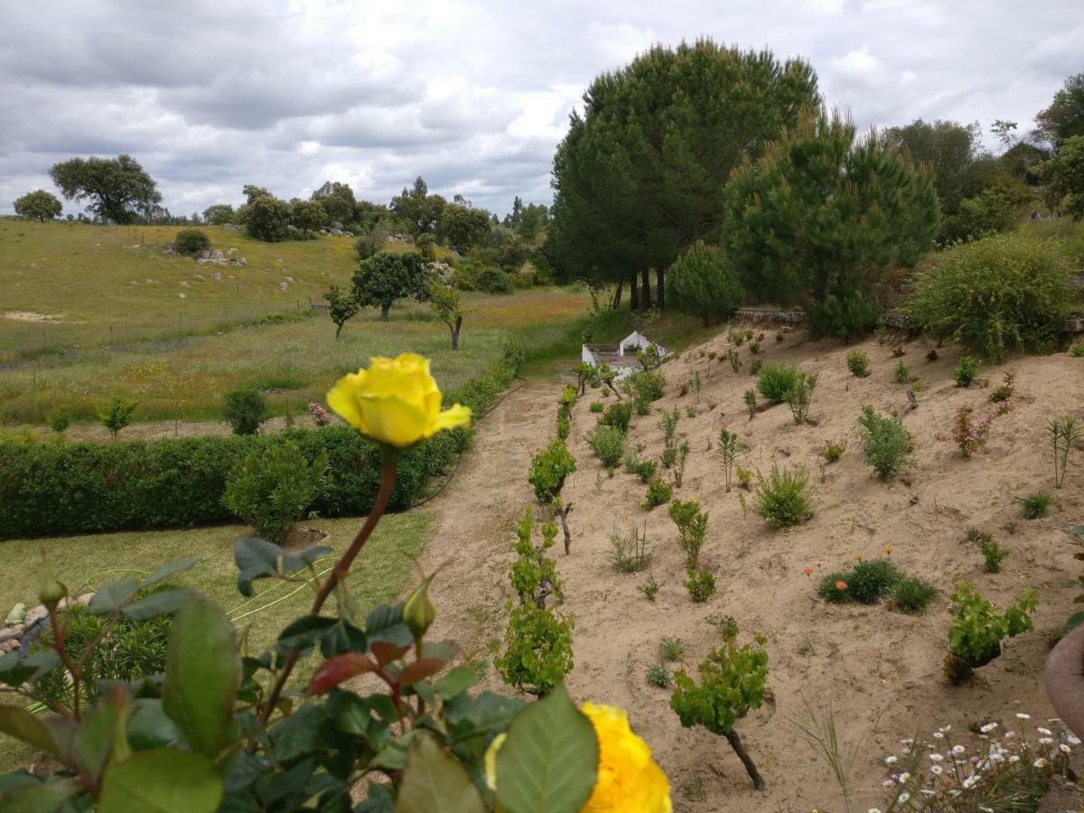 Quinta Da Abrunheira - Gustavo Eiffel Guest House Ciborro Екстериор снимка